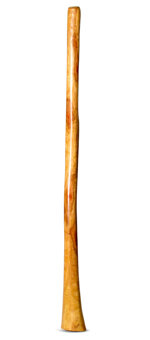 Gloss Finish Bell Didgeridoo (TW933)